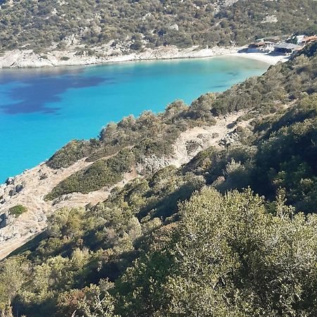 Studio Wilem Sarti Dış mekan fotoğraf