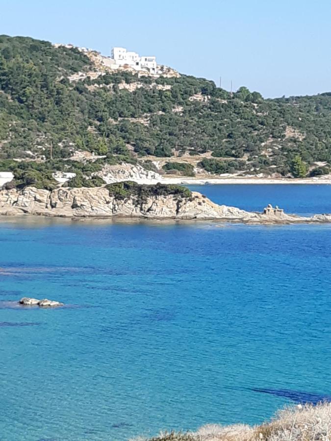 Studio Wilem Sarti Dış mekan fotoğraf