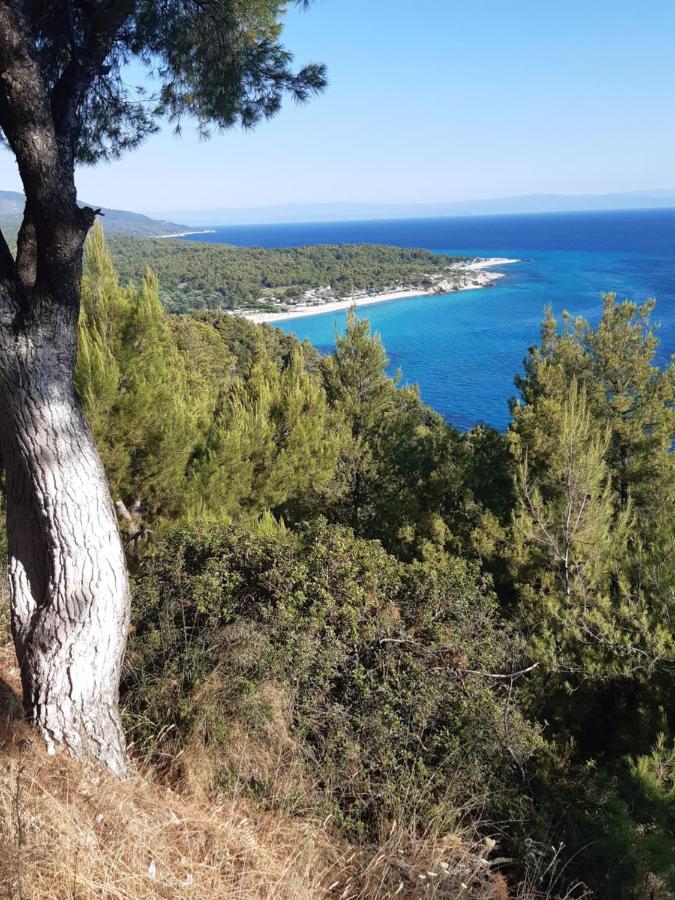 Studio Wilem Sarti Dış mekan fotoğraf
