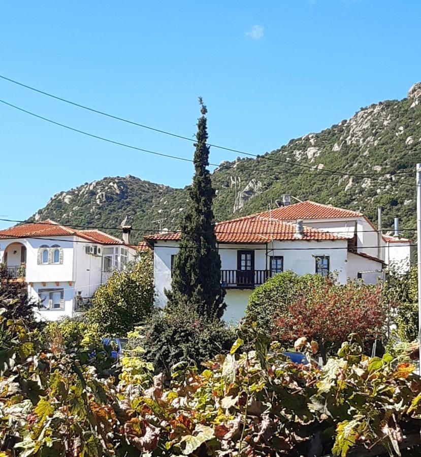Studio Wilem Sarti Dış mekan fotoğraf