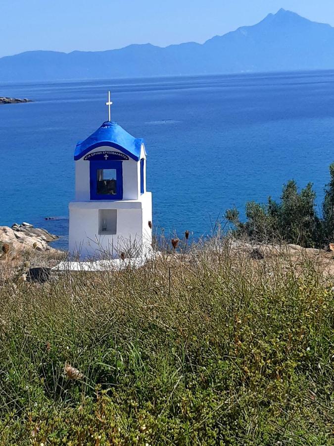 Studio Wilem Sarti Dış mekan fotoğraf