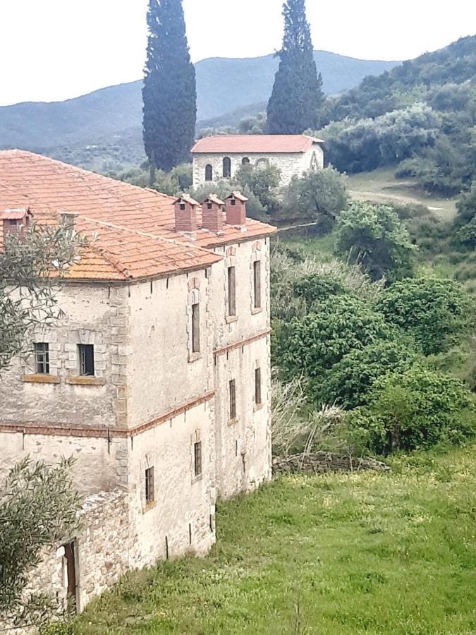 Studio Wilem Sarti Dış mekan fotoğraf