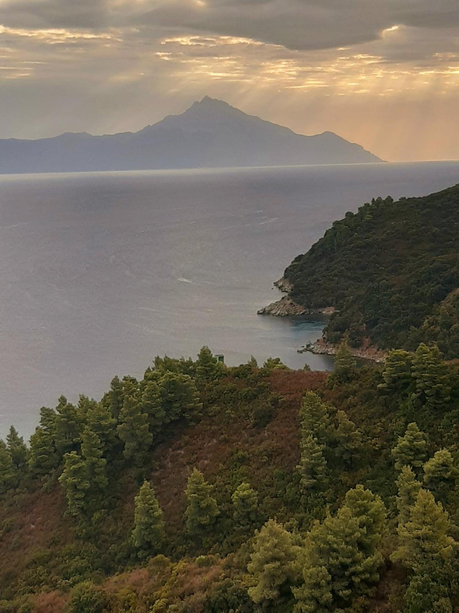 Studio Wilem Sarti Dış mekan fotoğraf